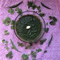 Bijal Parekh's cooksnap of when they made કોથમીર ચટણી(Kothmir Chutney recipe in gujarati).