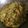 Anjna Sharma's cooksnap of when they made Baigan bharta.