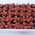 Cooksnap dari Tini Agustinarsih untuk resep Brownies Kukus Mekar 100% ANTI gagal Ny.Liem