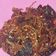 Cooksnap dari Alysa Ahadyah untuk resep Paru Goreng Rica