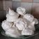 Cooksnap de Einna Pado sur la recette Meringue française