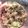 Sotay 's cooksnap of when they made Guacamole.