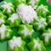 Cooksnap dari Dhewy Asry untuk resep Kue putu ayu super lembut