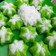 Cooksnap dari Dhewy Asry untuk resep Kue putu ayu super lembut