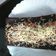 Cooksnap dari Ryfah untuk resep Chocolate cake ultah (no mixer no egg no ribet)