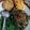 Cooksnap dari Ulya Khansa untuk resep Pecel Daun Pepaya