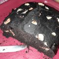 El cooksnap de Juan Pablo Poggi cuando hizo Budín de harina de algarroba y nueces.
