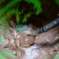 El cooksnap de Gisella De Juliano cuando hizo Magdalenas súper fáciles.