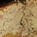 El cooksnap de Karen Arellano cuando hizo Torta marmolada esponjosa y fácil.