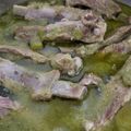 El cooksnap de Jasmin Lucely Gutierrez cuando hizo Costillas de puerco con nopales en salsa verde.