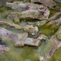 El cooksnap de Jasmin Lucely Gutierrez cuando hizo Costillas de puerco con nopales en salsa verde.