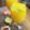 صورة من rana.f.Saber، شاركها بعد تجربة وصفة عصير برتقال 🍊 وليمون 🍋