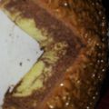 El cooksnap de Silvina Golletti cuando hizo Bizcochuelos marmolados por 2! (Bañados en chocolate).