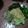 Cooksnap dari Reni Fitriana untuk resep Urap