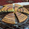 کوک اسنپ الهه آبی بعد از امتحان کردن کیک زبرا (۲)🧇.