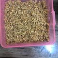 Cooksnap dari Marcelina Lydia untuk resep Abon Ikan Tongkol