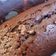 Cooksnap από SISSY GKIKA στη συνταγή Εύκολα brownie με κακάο