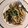 Cooksnap dari Fania Feby Ramadhani untuk resep Creamy Horenzo Penne