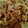 El cooksnap de MaryGlory cuando hizo Spaghetti con pollo y verduras.