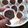 El cooksnap de Guadaa cuando hizo Muffins de chocolate.