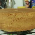 El cooksnap de Paula Godoy cuando hizo Bizcochuelo para Tortas.