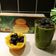Szamosközi Krisztina Cooksnap-ja, amikor elkészítette a(z) Reggeli zöld smoothie receptet.