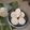 Cooksnap của Phuong Nguyen 92 khi họ làm theo món Giò GÀ