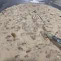 Cooksnap Nurpaisah Sukman semasa beliau membuat Spaghetti Carbonara (Italy).