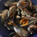 El cooksnap de Irene-Guirao cuando hizo Mejillones al vapor.