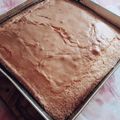El cooksnap de EliS cuando hizo Bizcochuelo de harina común 000 con chips de chocolate.