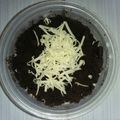 Cooksnap dari wika anggraeni untuk resep Oreo Cheescake lumer
