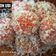 Cooksnap dari Nina Noviana untuk resep Klepon Ubi Ungu