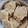 El cooksnap de Maria Elizabeth Iuliano cuando hizo Galletas de avena y coco.