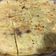 El cooksnap de Irene-Guirao cuando hizo Tortilla de patata al microondas.