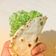 Cooksnap dari Sandi Sunandar untuk resep Kulit tortilla