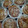 El cooksnap de RBK cuando hizo Mini tartas flor.