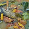 Cooksnap dari oktavia permata untuk resep Sop asam pedas kerapu