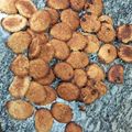 El cooksnap de Ariel cuando hizo Galletas de avena y coco.