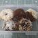 Cooksnap dari Vonny Caem untuk resep Donat kentang mini