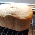 El cooksnap de Mai alba cuando hizo French bread o pan francés con panificadora del Lidl 2020.