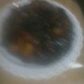 El cooksnap de Marcela Olarte cuando hizo Tarta de manzanas sin horno.