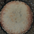 El cooksnap de Mar cuando hizo Torta de dulce de leche y coco.