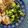 Liam's cooksnap of when they made Pan-fried Garlic Chilli Broccoli.