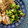 Liam's cooksnap of when they made Pan-fried Garlic Chilli Broccoli.