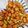 Cooksnap dari Yessyecca untuk resep Sambel goreng pete, udang dan tempe