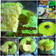 Cooksnap dari Dapoer_sriyantii untuk resep Bolu Tape Kukus (tanpa mixer)