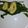 El cooksnap de Dilma Moren cuando hizo Mi Ensalada Favorita.