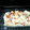 El cooksnap de deli28ro cuando hizo Coliflor con bechamel gratinada.