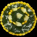 Ketki Dave's cooksnap of when they made પાલક મટર પનીર (Palak Matar Paneer Reecipe In Gujarati)4.