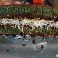 Cooksnap dari Nur Baeti untuk resep Martabak Greentea (Resep asli dr penjual)